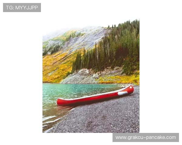 十三水怎么玩才能赢得更多胜利掌握实用策略与技巧