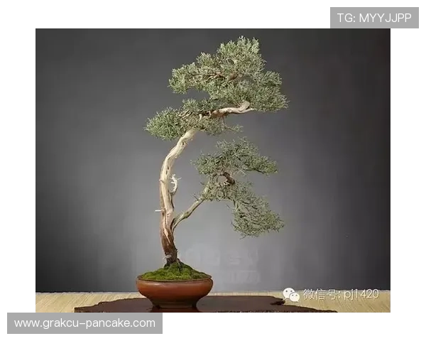 解决k8网站登录常见问题的详细步骤与解决方案