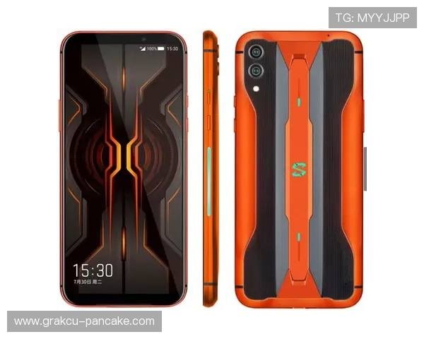 详细介绍K8凯发旗舰厅官网入口的功能特色与优势,提升您的游戏体验感受 详细介绍K8凯发旗舰厅官网入口的功能特色与优势,提升您的游戏体验感受