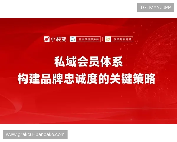 凯发官方网站平台的VIP会员制度及其权益详解提升玩家忠诚度的关键策略 凯发官方网站平台的VIP会员制度及其权益详解提升玩家忠诚度的关键策略